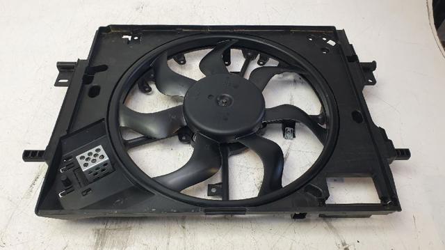 214810411R Renault (RVI)