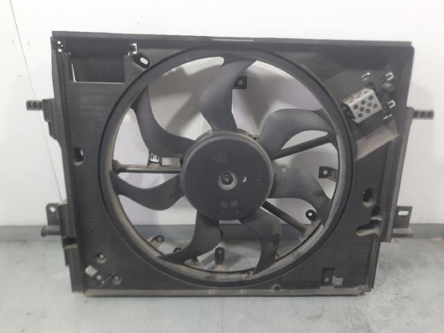 214810411R Renault (RVI)