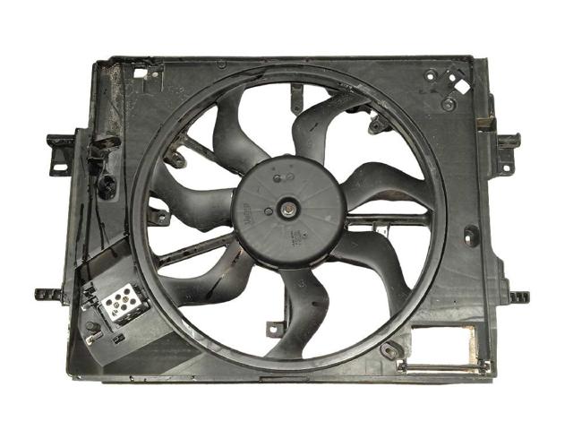 214810411R Renault (RVI)