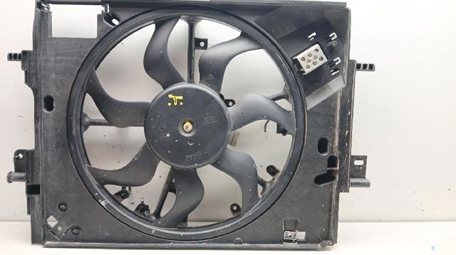 214810411R Renault (RVI)