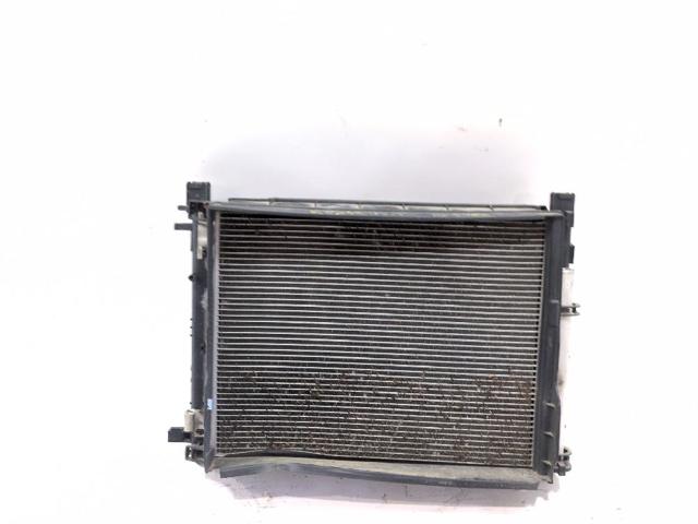 Wentylator elektryczny układu chłodzenia kompletny (silnik+wirnik) 214811626R RENAULT