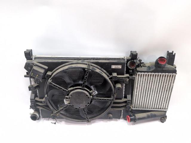 Wentylator elektryczny układu chłodzenia kompletny (silnik+wirnik) 214811626R RENAULT