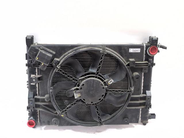 Wentylator elektryczny układu chłodzenia kompletny (silnik+wirnik) 214811626R RENAULT