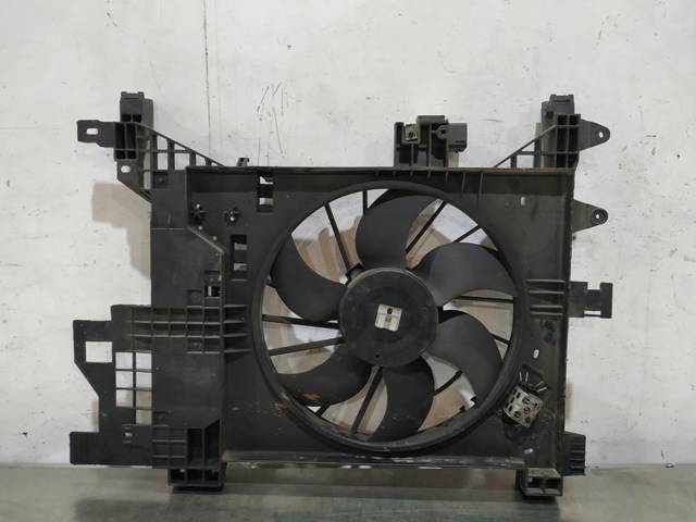 214816758R Renault (RVI)