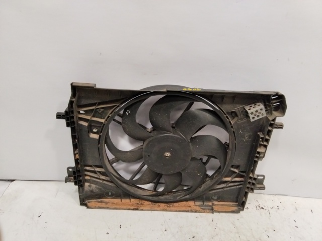 214818009R Renault (RVI)