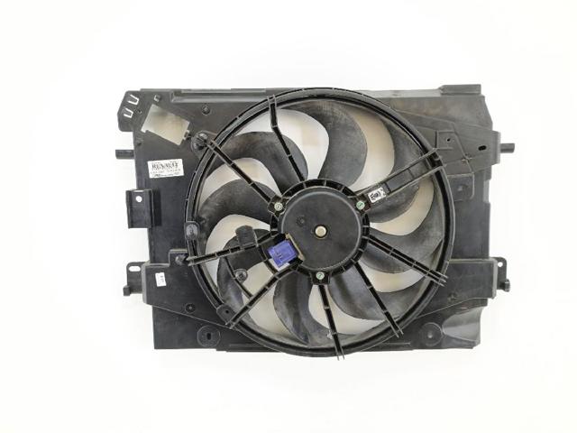214818009R Renault (RVI)
