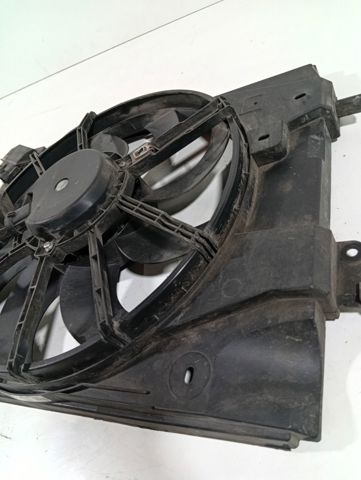 214819521R Renault (RVI)