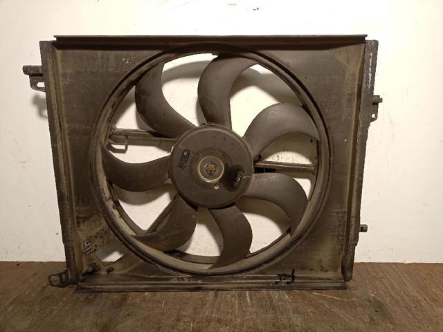 214819674R Renault (RVI)