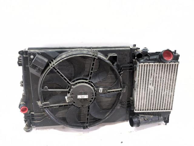 214819674R Renault (RVI)