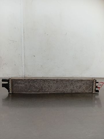 214C10001R Nissan/Infiniti