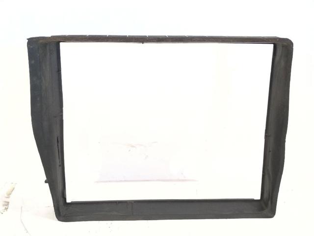 215598406R Renault (RVI)