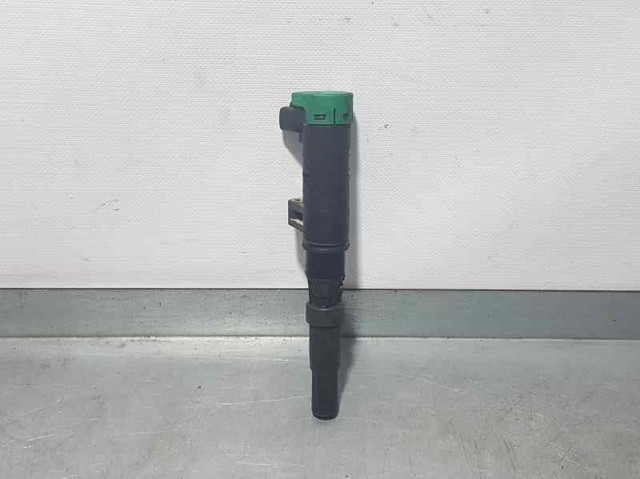 216031219 Renault (RVI)