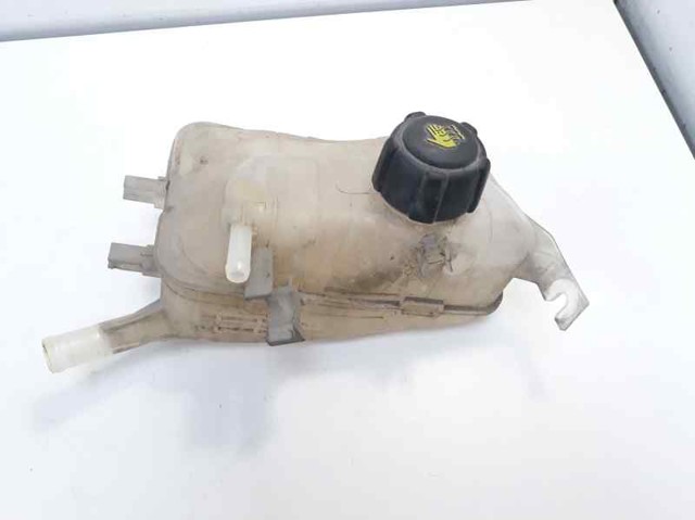 Zbiorniczek wyrównawczy układu chłodzenia 217100005R RENAULT