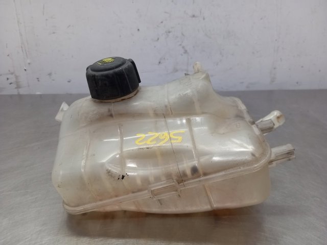 217100005R Renault (RVI)