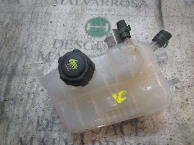 217100005R Renault (RVI)