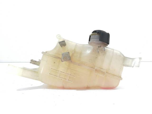 Zbiorniczek wyrównawczy układu chłodzenia 217100005R RENAULT