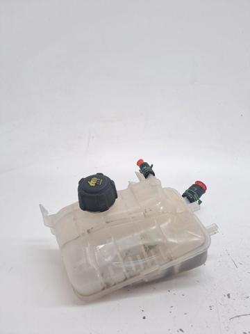 Zbiorniczek wyrównawczy układu chłodzenia 217100005R RENAULT