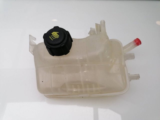 217100005R Renault (RVI)