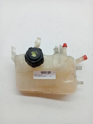 217100005R Renault (RVI)