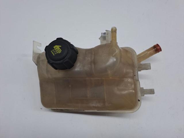 Zbiorniczek wyrównawczy układu chłodzenia 217100005R RENAULT