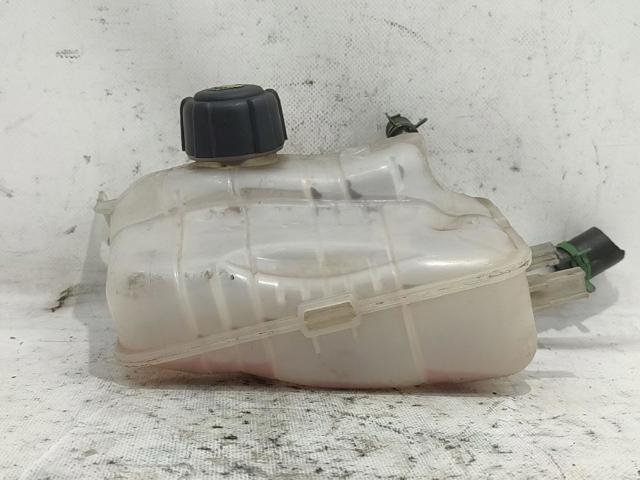 Zbiorniczek wyrównawczy układu chłodzenia 217100005R RENAULT