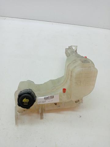 217100014R Renault (RVI)