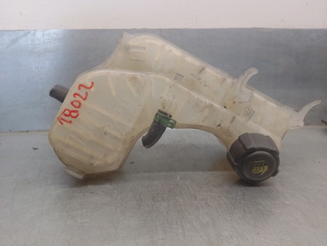 217100014R Renault (RVI)