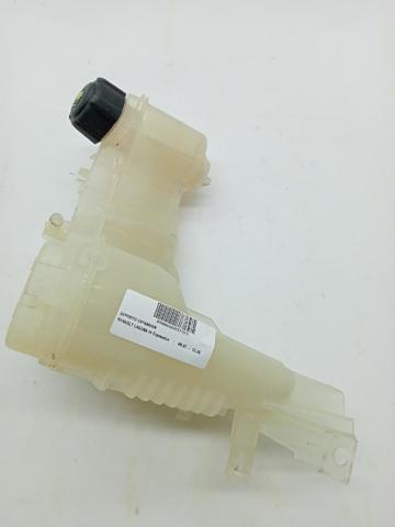 217100014R Renault (RVI)