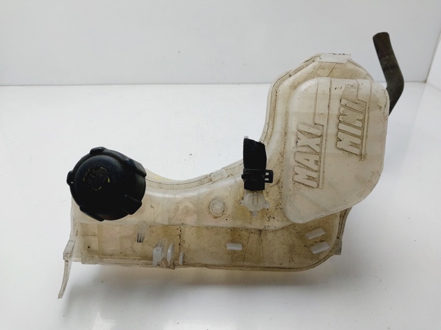 Zbiorniczek wyrównawczy układu chłodzenia 217100014R RENAULT