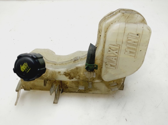Zbiorniczek wyrównawczy układu chłodzenia 217100014R RENAULT