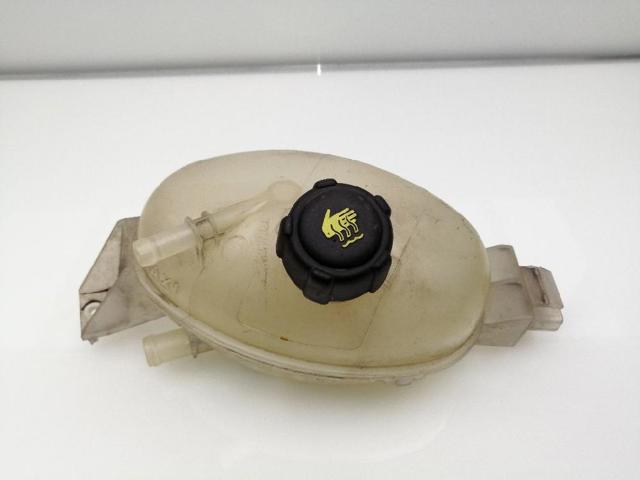Zbiorniczek wyrównawczy układu chłodzenia 217100015R RENAULT