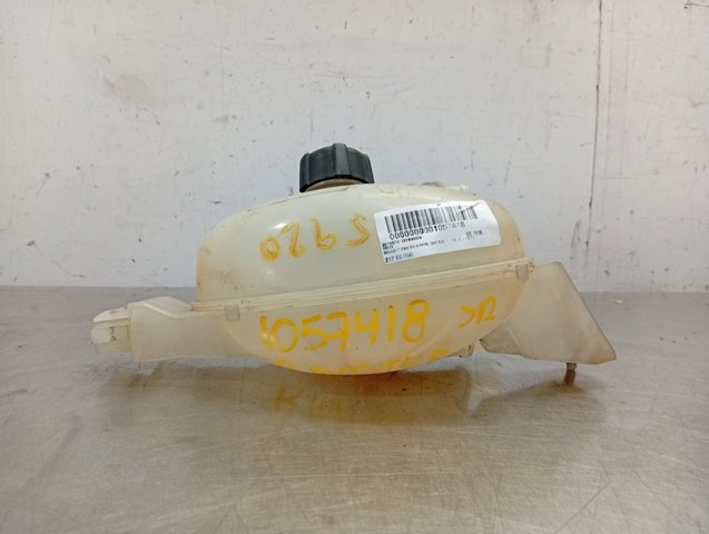 Zbiorniczek wyrównawczy układu chłodzenia 217100015R RENAULT
