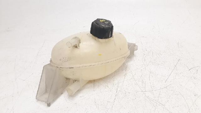 Zbiorniczek wyrównawczy układu chłodzenia 217100015R RENAULT