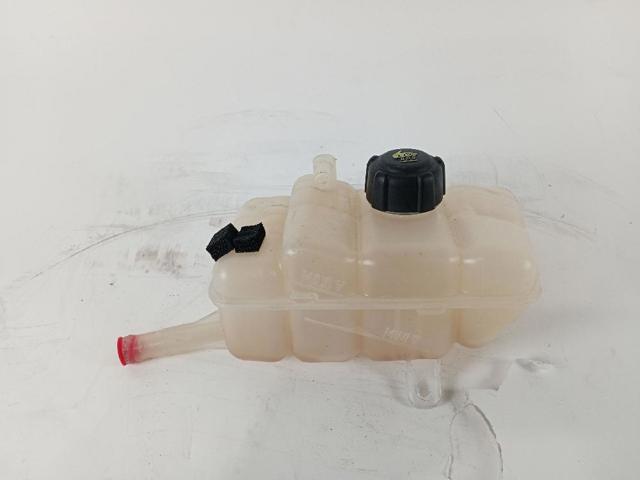 217102781R Renault (RVI)
