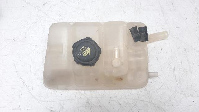 217102781R Renault (RVI)