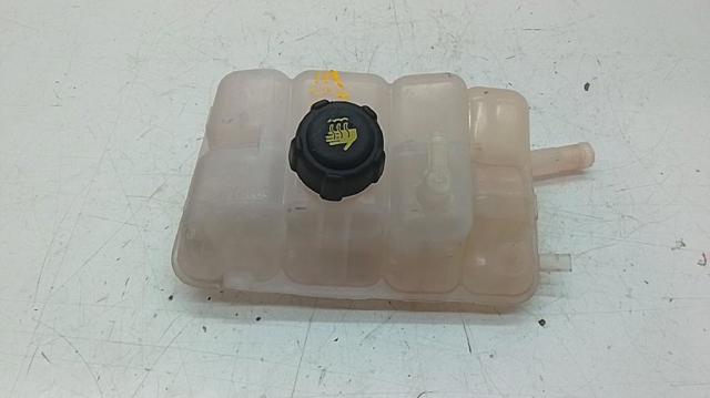 217102781R Renault (RVI)