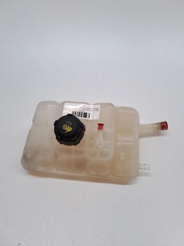 217102781R Renault (RVI)