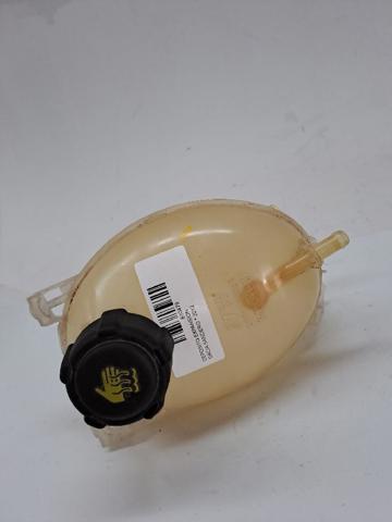 217104354R Renault (RVI)