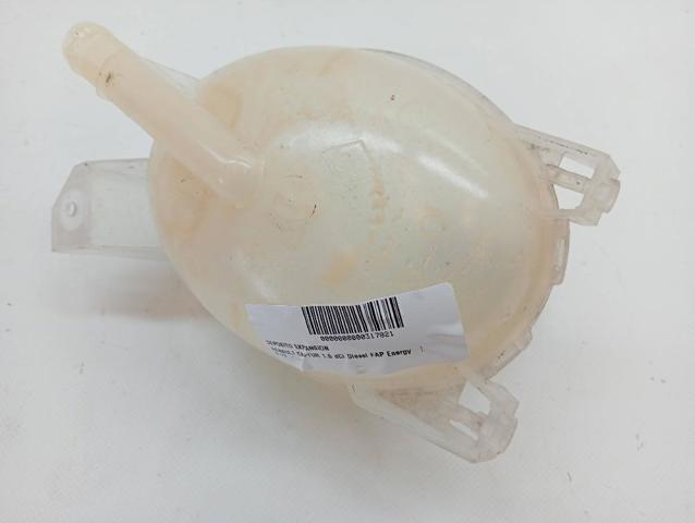 217104354R Renault (RVI)