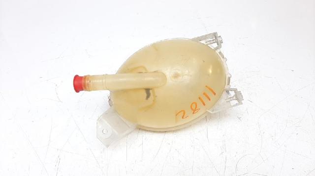 217104354R Renault (RVI)