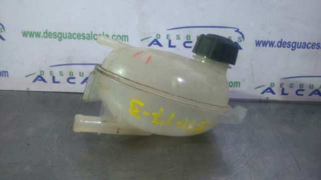 217104354R Renault (RVI)