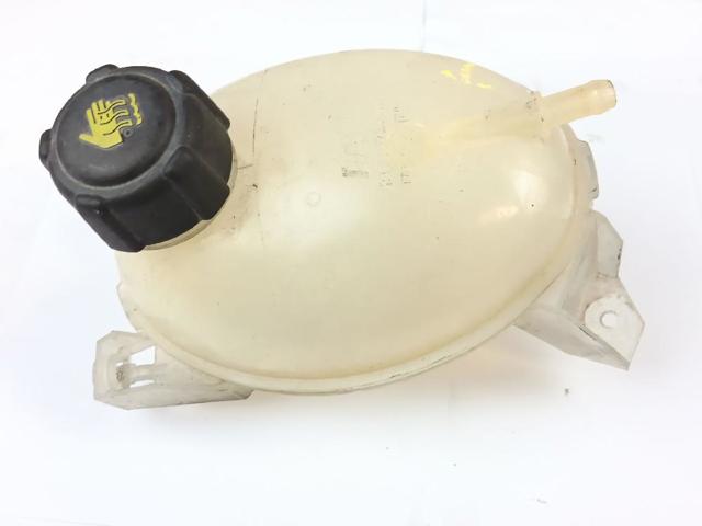 217104354R Renault (RVI)