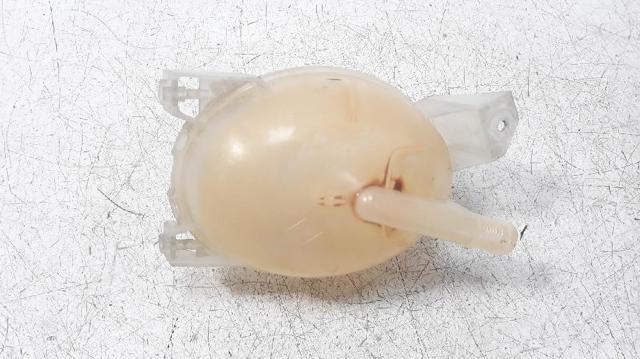 217104354R Renault (RVI)