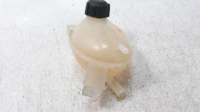 217104354R Renault (RVI)