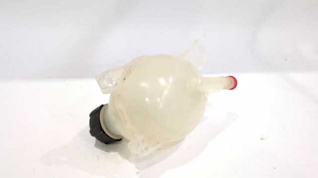 217104354R Renault (RVI)