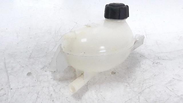 217104354R Renault (RVI)