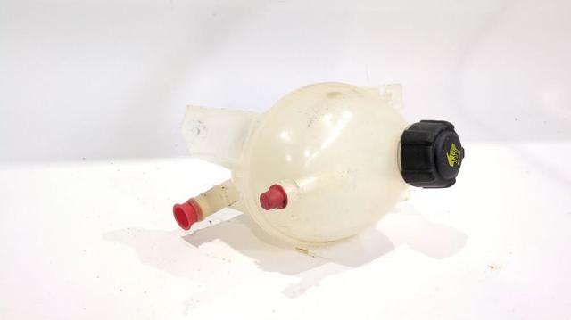 217104354R Renault (RVI)