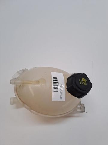217104354R Renault (RVI)