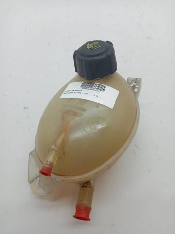 217104354R Renault (RVI)