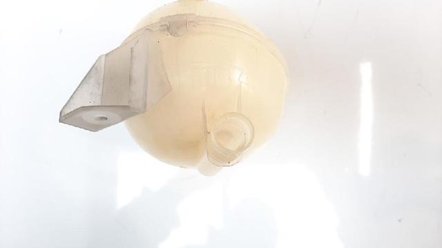 217104354R Renault (RVI)